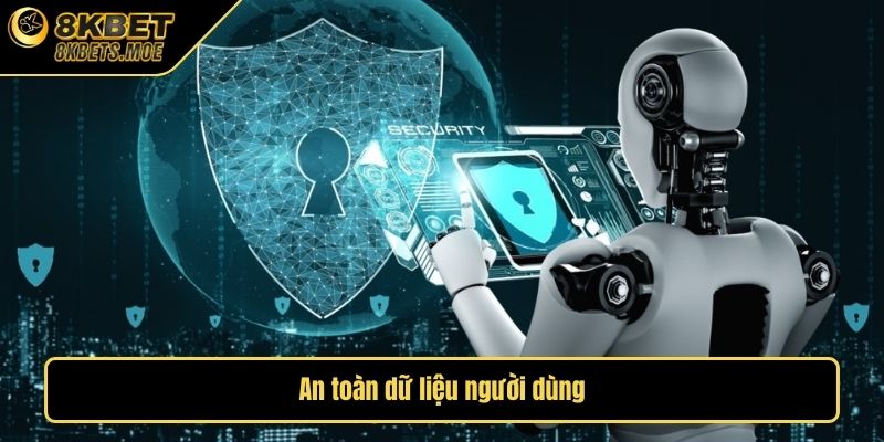 An toàn dữ liệu người dùng